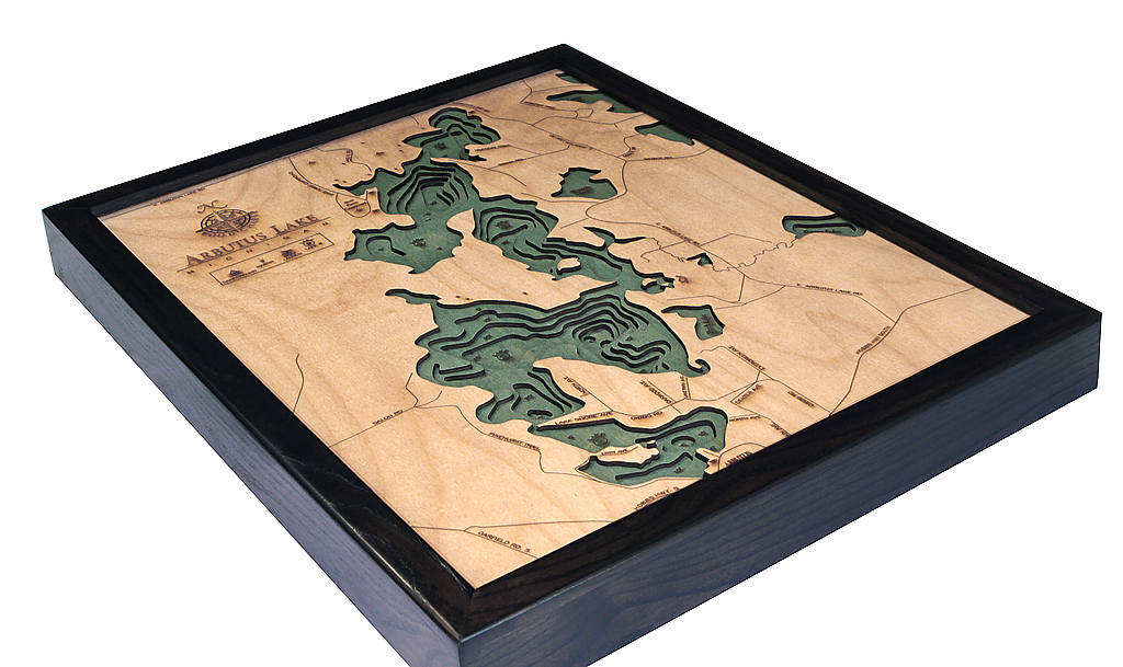 Arbutus (Traverse), Michigan 3D layered wood map in laser-cut Baltic birch, shown framed against a light wall
