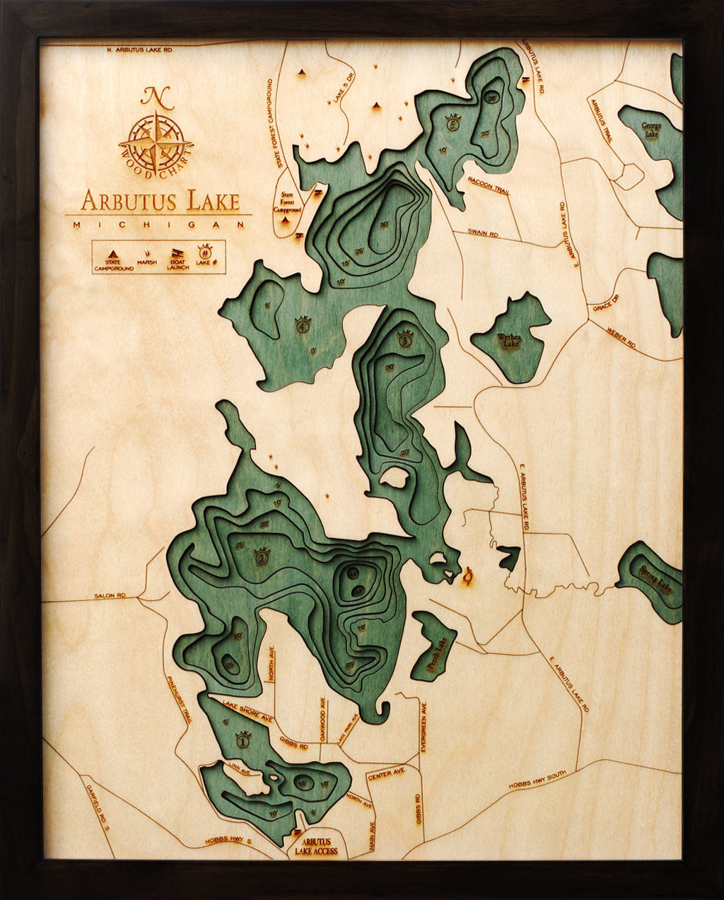 Arbutus (Traverse), Michigan 3D layered wood map in laser-cut Baltic birch, shown framed against a light wall