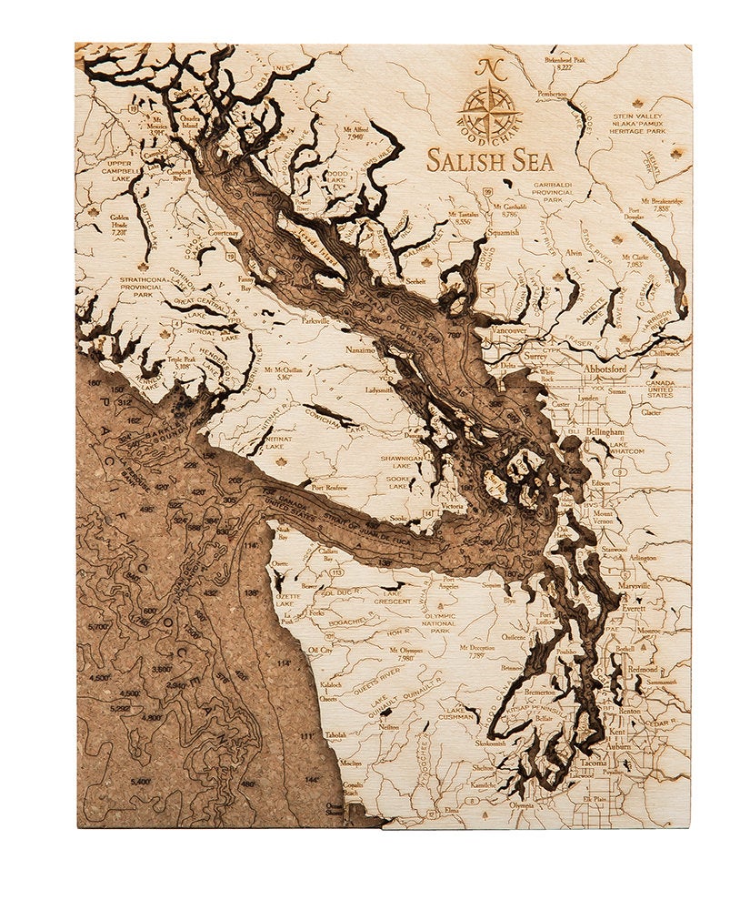 Salish Sea, Washington framed cork map in laser-cut Baltic birch, shown framed against a light wall