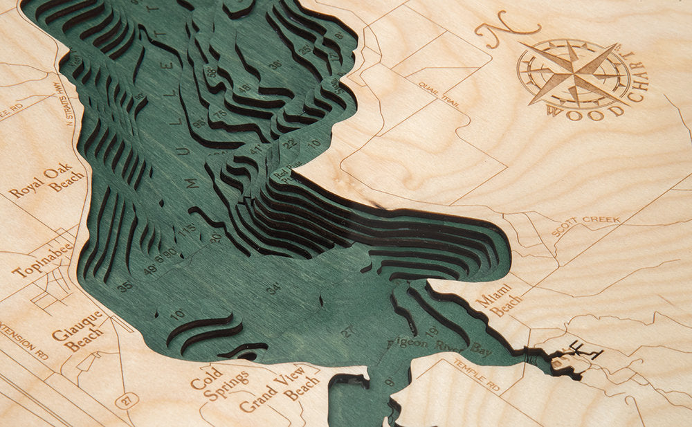 Burt & Mullet Lakes, Michigan 3D layered wood map in laser-cut Baltic birch, shown framed against a light wall