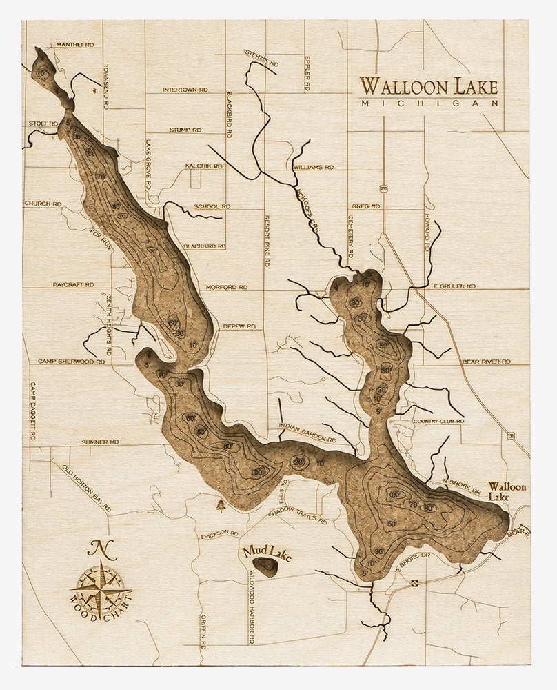 Walloon Lake, Michigan framed cork map in laser-cut Baltic birch, shown framed against a light wall